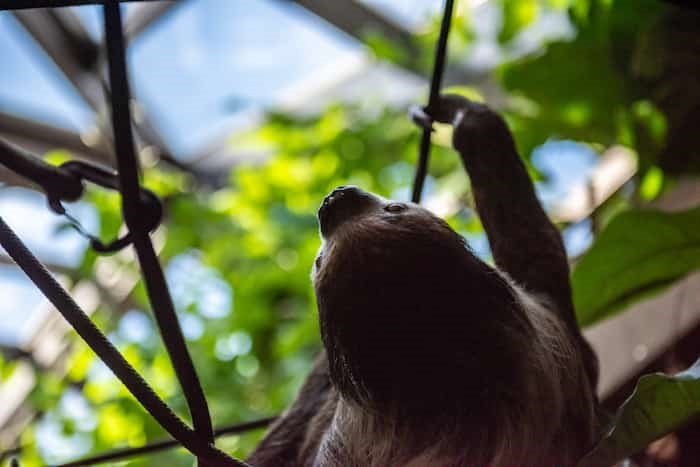  Vancouver Aquarium