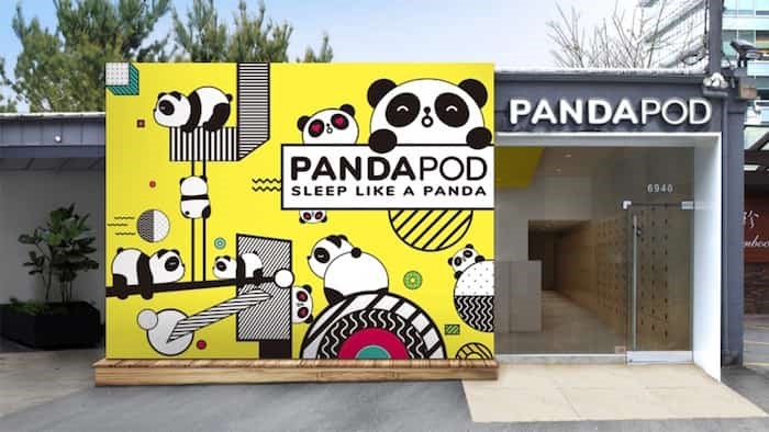  Panda Pod Hotel in Richmond. Photo: Submitted