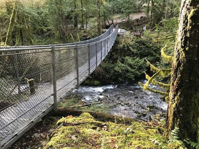  The suspension bridge over the Goldstream River, near the beginning of the hike. - Ken Armour