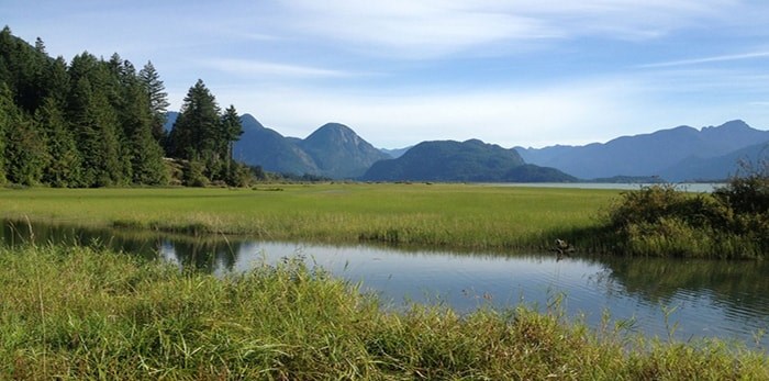  The south end of Widgeon Slough.