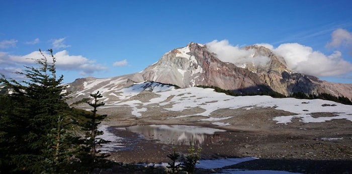  Site of proposed wilderness lodge for Brohm Ridge. Photo: Submitted