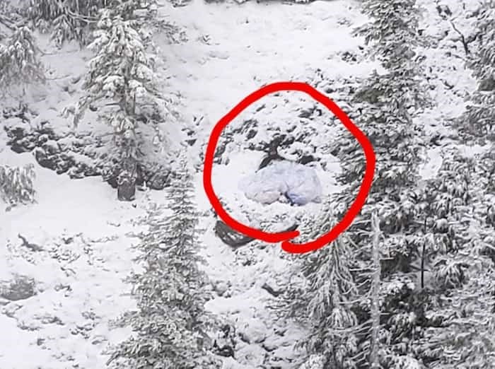  A crashed paraglider waits for rescuers on a Beaufort Range ridgeline near Port Alberni. photo supplied