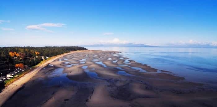  At low tide Rathtrevor Beach stretches nearly a kilometre out into the Strait of Georgia.