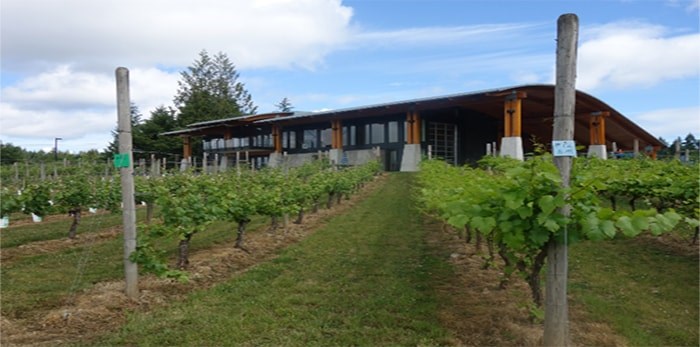  Environmentally designed Blue Grouse Estate Winery and Vineyard in the picturesque Cowichan Valley. Photo: Eric Hanson