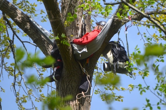  Terry Christenson scaled a tree to protest the Trans Mountain Expansion Project. Photo by Cornelia Naylor.