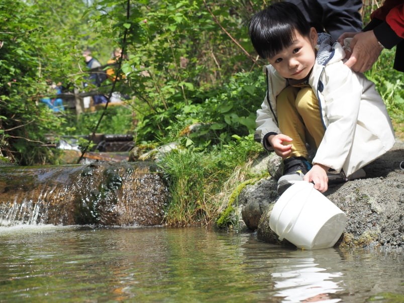  Three-year-old Conrad Yu has come to release salmon into Noons Creek every year since he was born. Photo by Stefan Labbé.