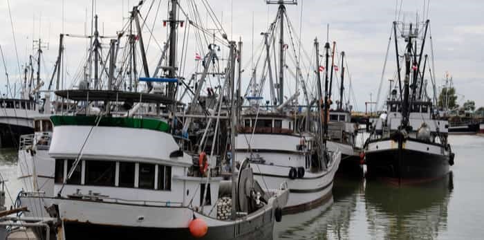  Commercial fishing boats docked in Steveston / Shutterstock