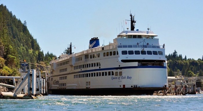  B.C. Ferries' Queen of Oak Bay stopped briefly on the Departure Bay-Horseshoe Bay run on Saturday morning to give a swimming bear a chance to pass. Photo via Times Colonist