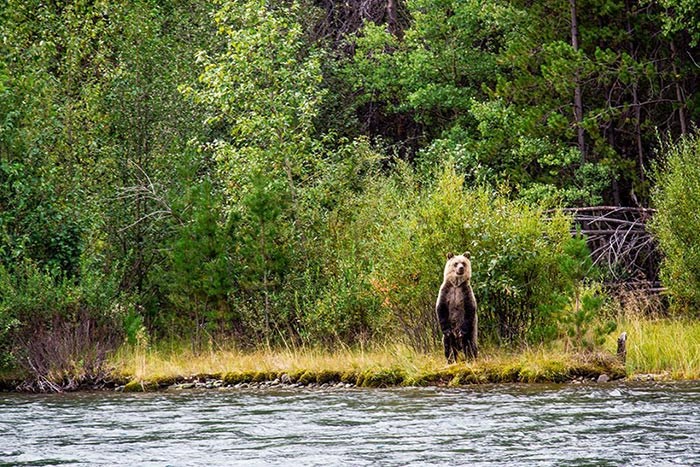  Photo: Canadian Outback Rafting Co.