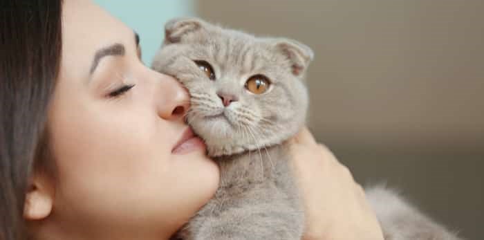  Photo : Cute cat with woman / Shutterstock