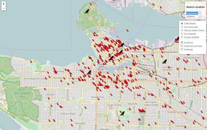  Densely populated areas such as downtown and the West End are hotspots for crow attacks. Screenshot