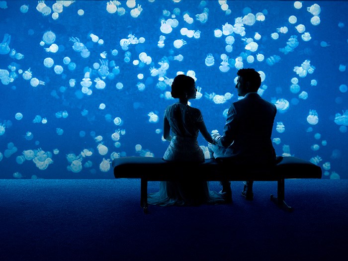  Photo: 鶹ýӳAquarium