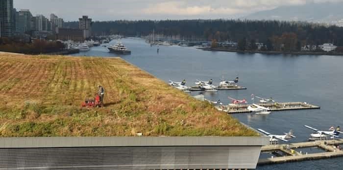  Landscaping crews mow the green roof at Vancouver Convention Centre once a year. It takes about two weeks to trim and mow the six-acre living roof. Photo: Dan Toulgoet
