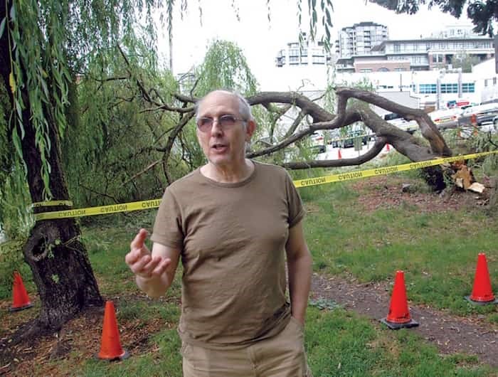  Joel Posluns, owner of Aiki Enterprises in Lower Lonsdale, says the City of North Vancouver should be taking better care of public spaces on his street after a tree toppled over and nearly hit a dog walker Tuesday evening. Photo: Brent Richter / North Shore News