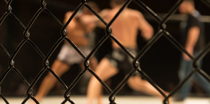  MMA fighters in a match/Shutterstock