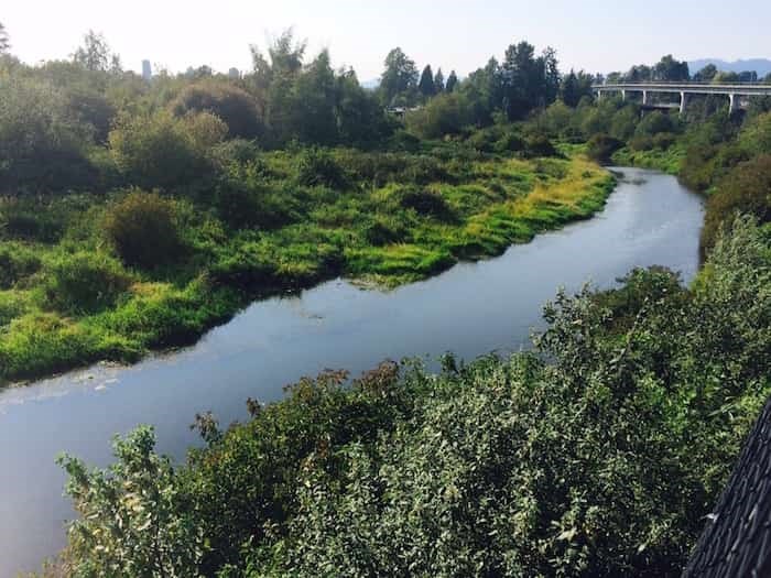  A view of Still Creek from the Kensington Avenue overpass for cyclists and pedestrians. Photo: Jennifer Moreau