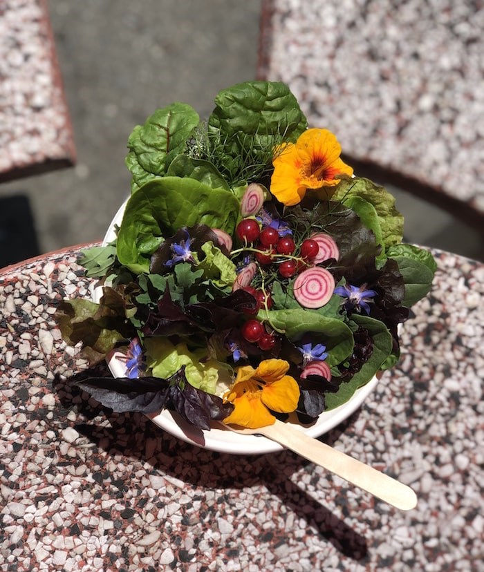 Everything in this salad was grown on City of Vancouver-run golf courses. Photo by Lindsay William-Ross/鶹ýӳ
