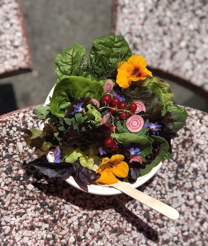  Everything in this salad was grown on City of Vancouver-run golf courses. Photo by Lindsay William-Ross/Vancouver Is Awesome