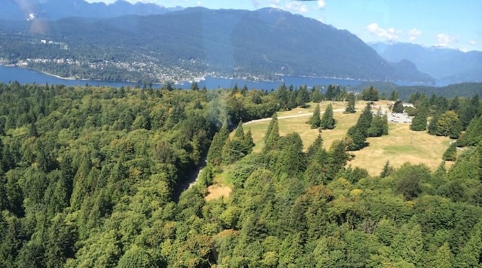  Cross this off your bucket list: Take a walk up Burnaby Mountain to get to the SFU campus. Photo: Burnaby Mountain/Burnaby NOW file photo