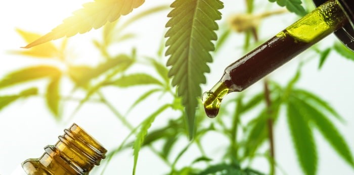  Cannabis oil/Shutterstock