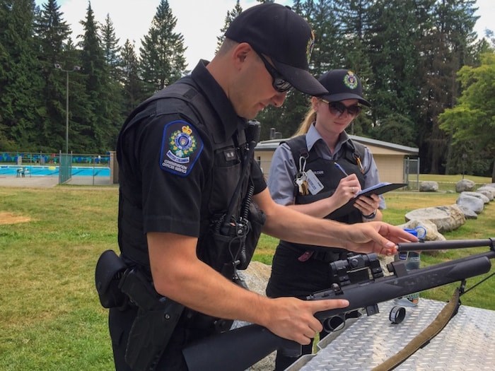  Conservation officer Wyatt Pile and Mackenzie Mercer, who is a wildlife safety officer, were working in Mundy Park Wednesday after it was reported that a bear and cubs were in the area not far from Spani Pool, where children were playing. Photo by Diane Strandberg/Tri-City News