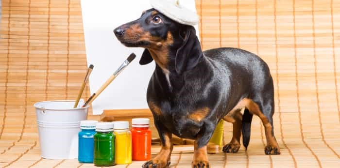  Photo: Dog painting in a beret / Shutterstock