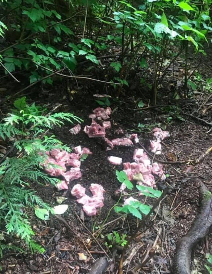  Delta police are continuing to investigate several reports of suspicious meat being dumped along the trails in North Delta’s Watershed Park. Rainer Mans/Facebook