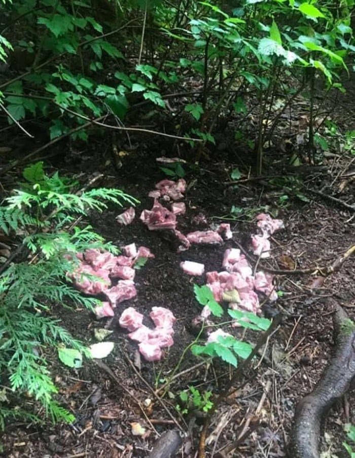  Delta police are continuing to investigate several reports of suspicious meat being dumped along the trails in North Delta’s Watershed Park. Rainer Mans/Facebook
