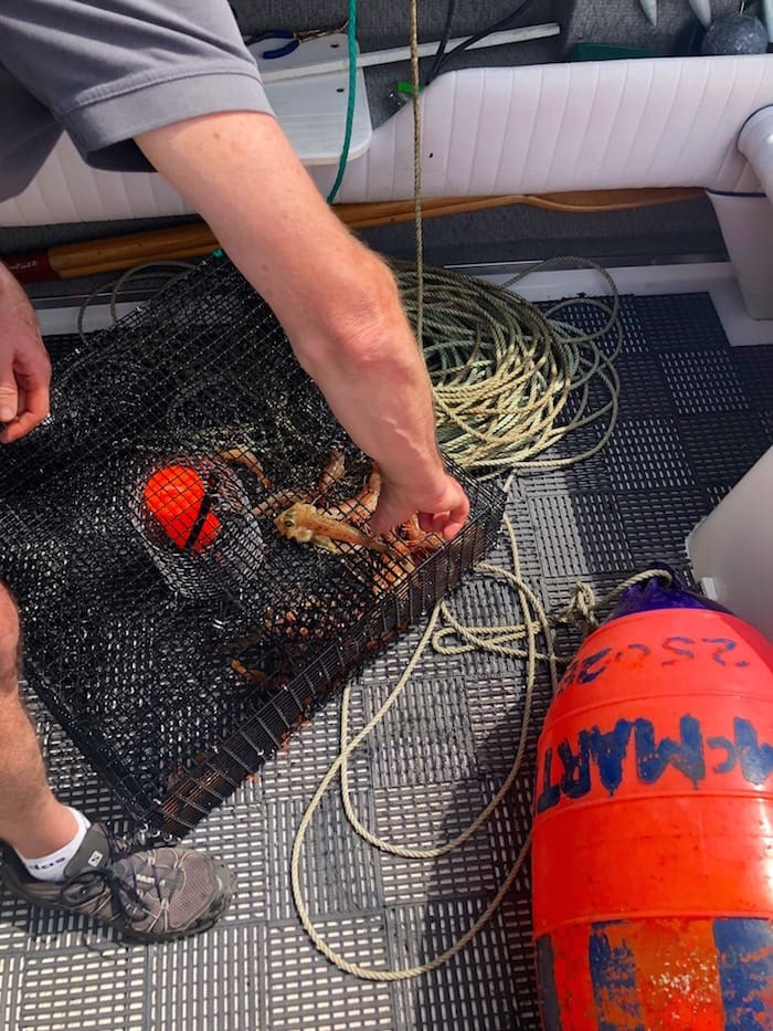  Retrieving what was in our prawn traps set the day before. This modest catch became a dinner feast cooked up back at our suite. Photo by Lindsay William-Ross/Vancouver Is Awesome