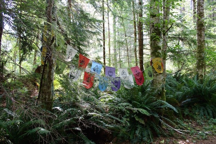  A colourful sight along the path that leads you down to Open Bay. Photo by Lindsay William-Ross/Vancouver Is Awesome