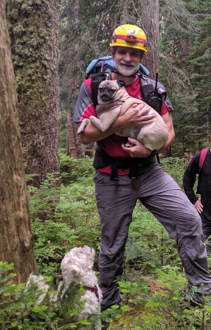  North Shore Rescue team member Alec Ritchie holds a pug whose owner was walked out after become lost on Mount Seymour Sunday. Photo: Mike Sample