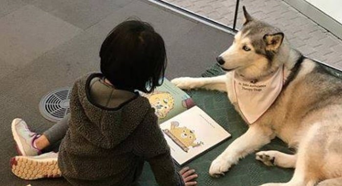  The Paws 4 Stories program. Photo: St. John Ambulance BC/Yukon Facebook