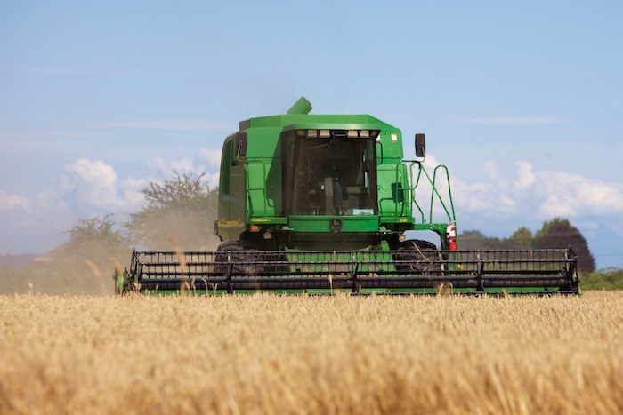  Delta's Barnside Brewing sits on more than 700 acres of organic malting barley. Photo courtesy Barnside Brewing