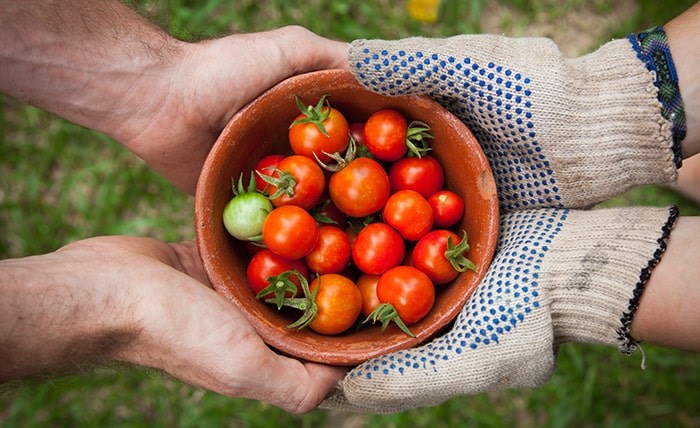  Nourish your mind with food, culture and arts at the Sustenance Festival. Photo: Unsplash / Elaine Casap