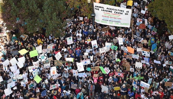  Tens of thousands attended the Global Climate Strike at Vancouver city hall Sept. 27 before marching over the Cambie Street Bridge into downtown. Photo Dan Toulgoet