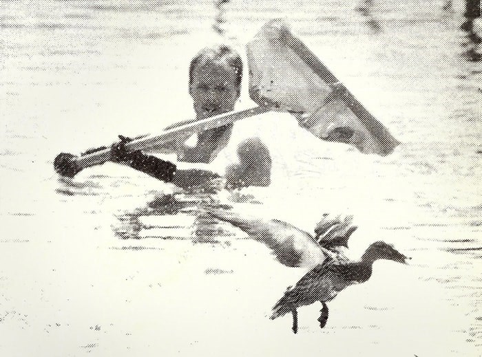  A mother duck eludes capture at McPherson Park Pool in 1993. - NOW archives