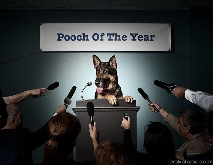  The 2020 Vancouver Police Dog calendar has been released. Photo: Jenskristianballe.com