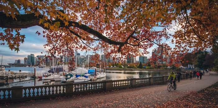  Photo: Stanley Park fall day / Shutterstock