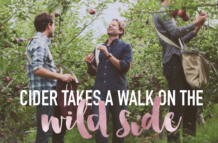  Summerland's Dominion Cider Co. uses handpicked, naturally fermented fruit in its Foundation Series of wild ciders. Contributed photo