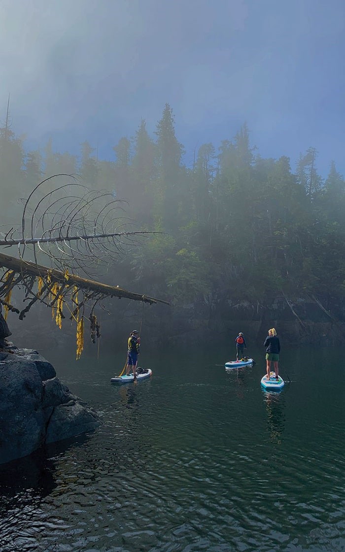  Amber Turnau went on a six-day stand-up paddleboarding expedition through one of the world's last wild places, The Great Bear Rainforest in B.C. Photo: Amber Turnau