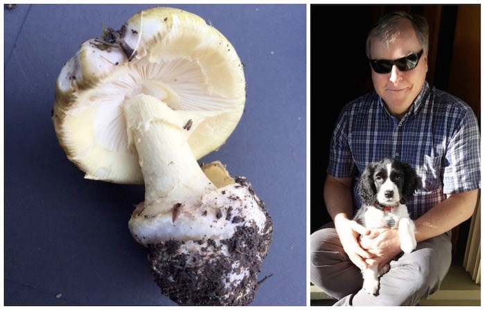  Left: Amanita phalloides, more commonly known as death-cap mushroom. Photo courtesy Island Health. Right: Peter Ronald and his puppy, Luna. Photo submitted