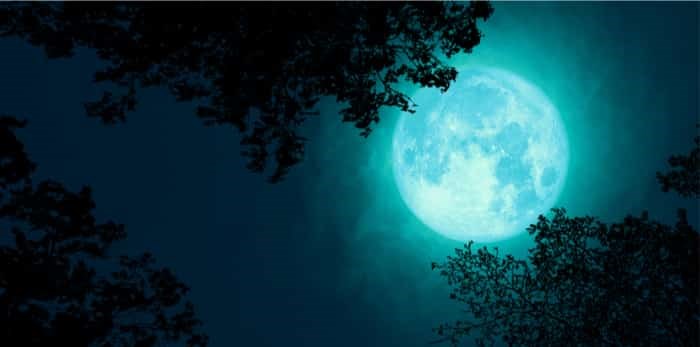  Photo: Full Beaver Moon back on dark cloud on silhouette tree and the night sky, Elements of this image furnished by NASA / Shutterstock