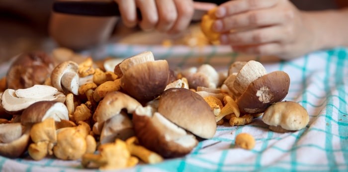  It's funghi season in B.C. Photo: Wild mushrooms/Shutterstock