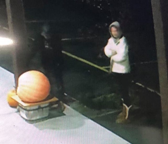  Surveillance video footage of the pumpkin theft. Photo: Parmjeet Dhaliwal / Oliver Loop