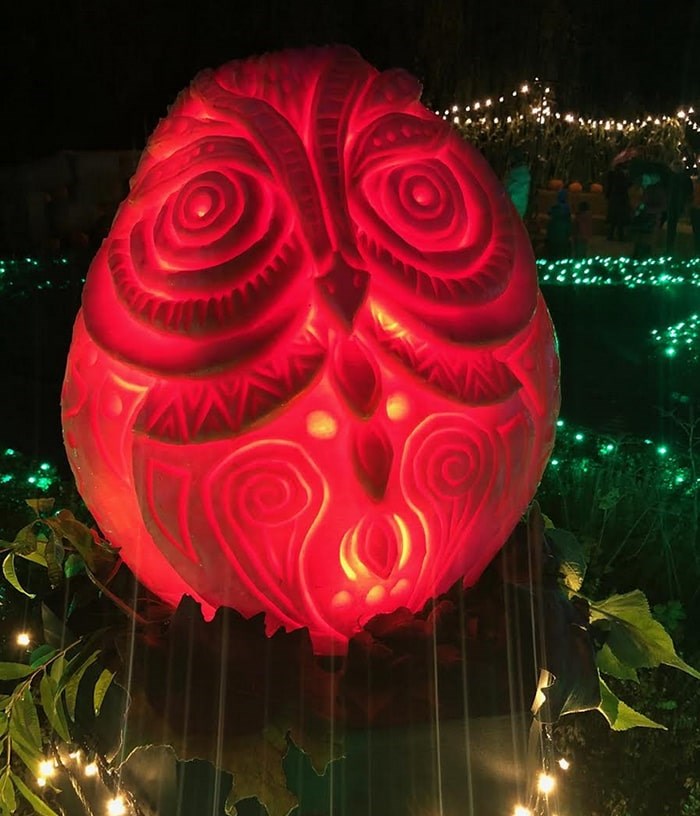  An owl carving by Bruce Waugh at this year's VanDusen Glow in the Garden. Photo: Lindsay William-Ross