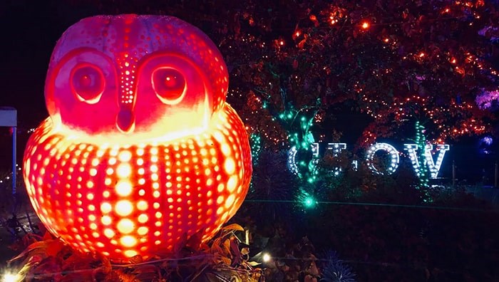  An owl pumpkin carving by Bruce Waugh at this year's VanDusen Glow in the Garden. Photo: Lindsay William-Ross