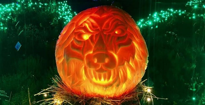  A wolf pumpkin carving by Bruce Waugh at this year's VanDusen Glow in the Garden. Photo: Lindsay William-Ross