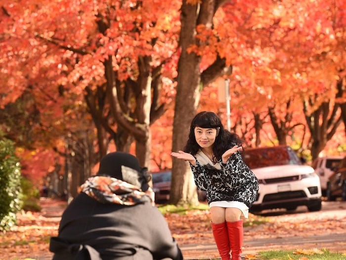  STRIKE A POSE: The vibrant fall colours along Cambridge Street in the East Vancouver neighbourhood of Hastings-Sunrise attract a steady crowd in search of the perfect photo. Photo Dan Toulgoet