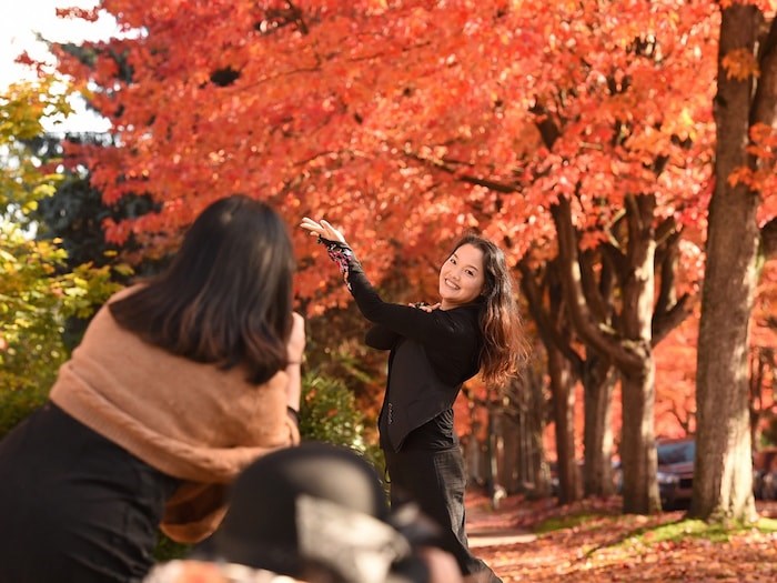  STRIKE A POSE: The vibrant fall colours along Cambridge Street in the East Vancouver neighbourhood of Hastings-Sunrise attract a steady crowd in search of the perfect photo. Photo Dan Toulgoet