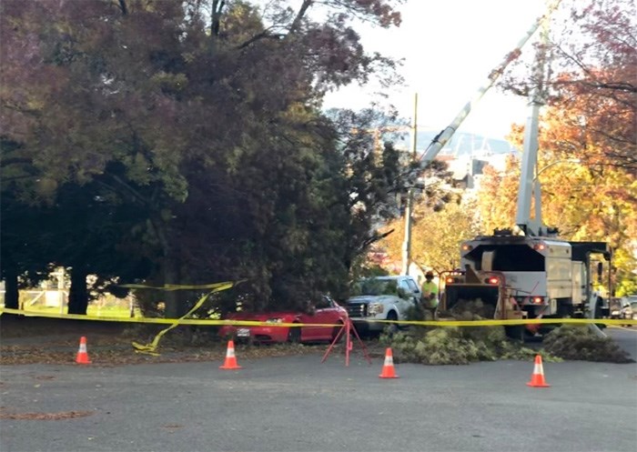  Vancouver city crews clean up a downed tree on the edge of Jonathan Rogers Park in Mount Pleasant Friday afternoon. Photo Jessica Kerr